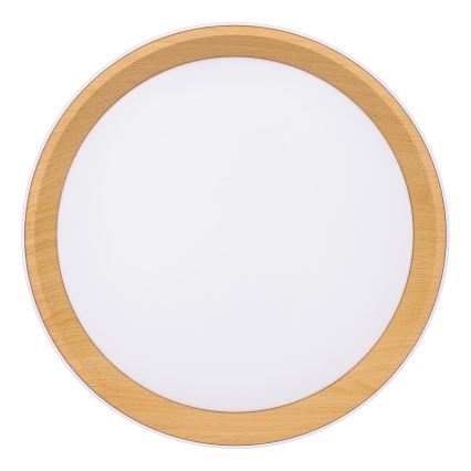 Iluminação de teto LED com regulação LARIOS LED/48W/230V 3000-6500K diâmetro 39 cm branco + comando