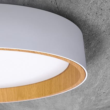 Iluminação de teto LED com regulação LARIOS LED/48W/230V 3000-6500K diâmetro 39 cm branco + comando