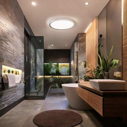 Candeeiro de teto LED para casa de banho ACATE 18W/230V 3000/4000/6000K diâmetro 22 cm IP54