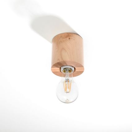 Iluminação de teto SALGADO 1xE27/60W/230V faia