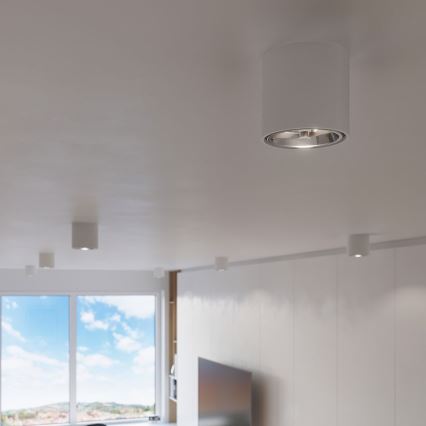 Foco TIUBE1xGU10-AR111/10W/230V