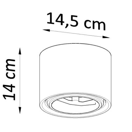 Spot de teto KALU 1xGU10/ES111/40W/230V