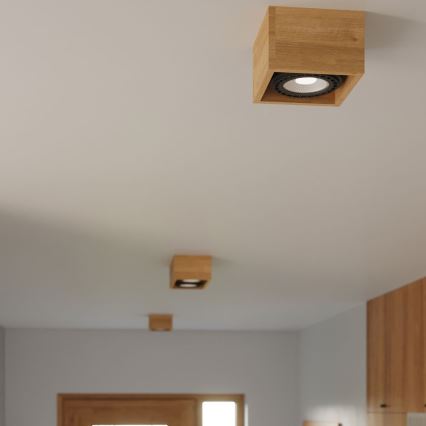 Iluminação de teto QUATRO AR111 2xGU10/40W/230V faia