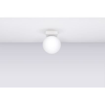 Luminária de teto YOLI 1xG9/12W/230V branca