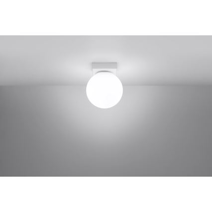 Luminária de teto YOLI 1xG9/12W/230V branca