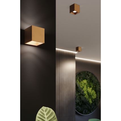 Foco de parede QUAD 1xG9/8W/230V dourada