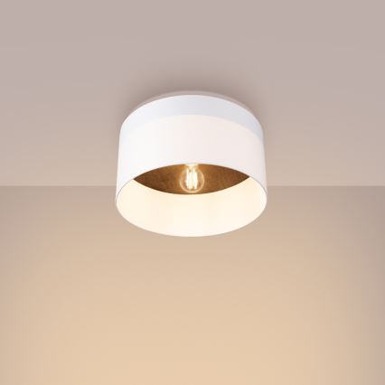 Iluminação de teto TELESTO 1xE27/15W/230V diâmetro 35 cm branco/castanho