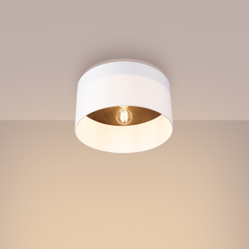 Iluminação de teto TELESTO 1xE27/15W/230V diâmetro 35 cm branco/castanho