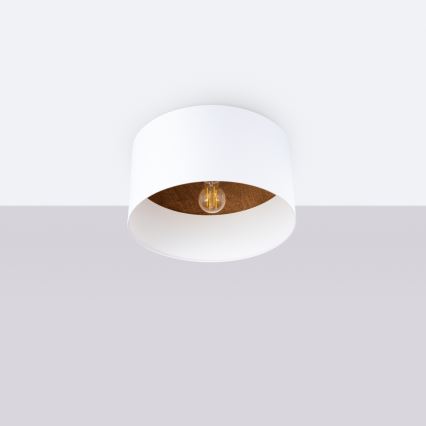 Iluminação de teto TELESTO 1xE27/15W/230V diâmetro 35 cm branco/castanho