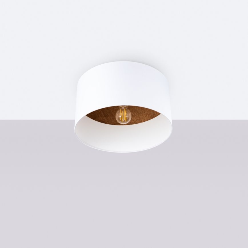 Iluminação de teto TELESTO 1xE27/15W/230V diâmetro 35 cm branco/castanho