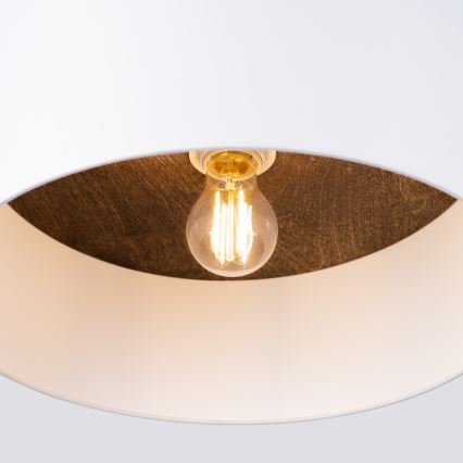 Iluminação de teto TELESTO 1xE27/15W/230V diâmetro 35 cm branco/castanho