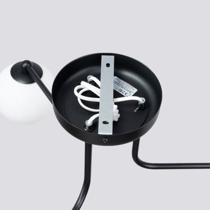 Candeeiro suspenso ASTRAL 3xG9/8W/230V preto