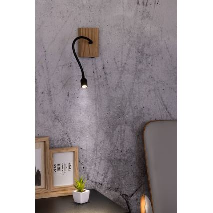Iluminação de parede LECTOR LED/2,5W/230V carvalho – FSC certificado
