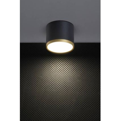 Spot LED TUBA LED/9W/230V preto/dourado