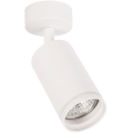 Spot orientável PIPE 1xGU10/10W/230V branco