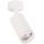 Spot orientável PIPE 1xGU10/10W/230V branco