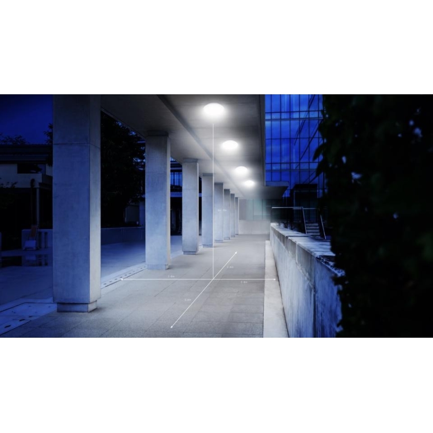 Steinel 035440 - Iluminação de exterior LED com sensor QUATTRO LED/10W/230V IP54