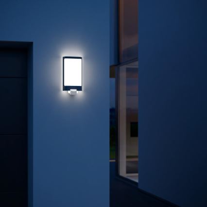 Steinel 056506 - Iluminação exterior LED com sensor L 240 LED/7,5W/230V IP44