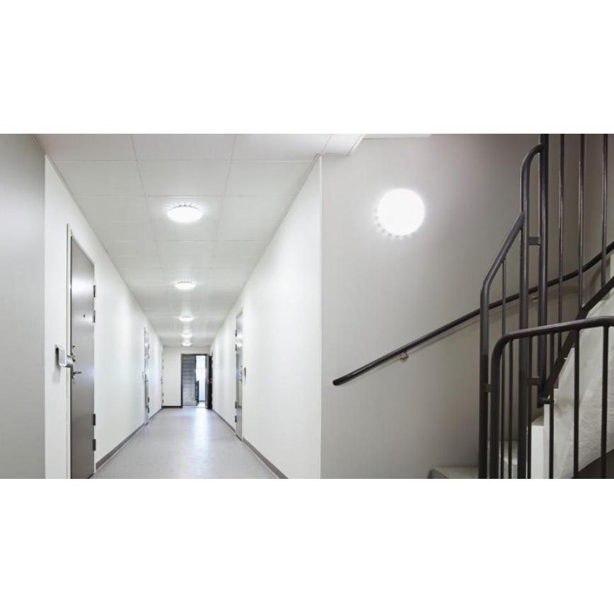 Steinel 067564 - Iluminação de teto LED com regulação com sensor RS PRO S20 SC LED/15,7W/230V 3000K