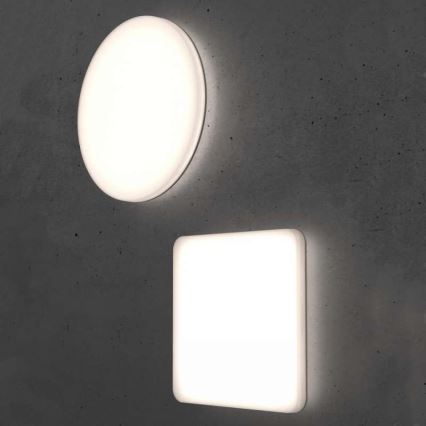 Steinel 067878- Iluminação de teto LED com sensor RS PRO LED/23,4W/230V IP40 4000K
