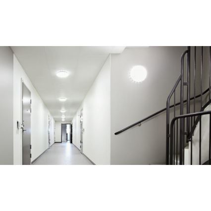 Steinel 079727 - CONJUNTO 5x Iluminação de teto LED com sensor RS PRO S30 SC LED/25,7W/230V 3000K