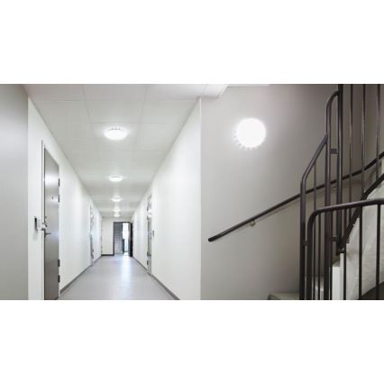 Steinel 079789- Iluminação de teto exterior LED com sensor RS PRO S20 SC LED/15,7W/230V IP65 3000K