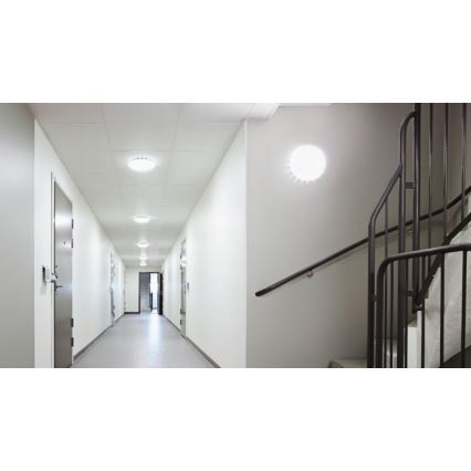 Steinel 081935 - CONJUNTO 5x Iluminação de teto LED com sensor RS PRO S10 SC LED/9,1W/230V 3000K