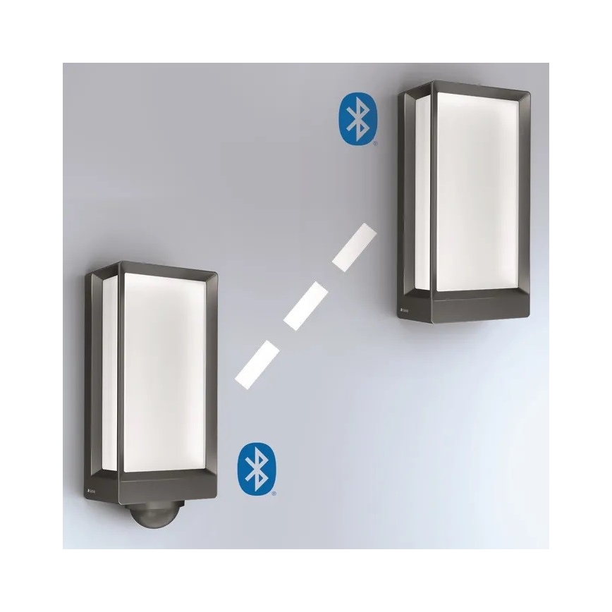 Steinel 085254 - LED Iluminação de parede exterior com regulação L42C LED/12,6W/230V IP54