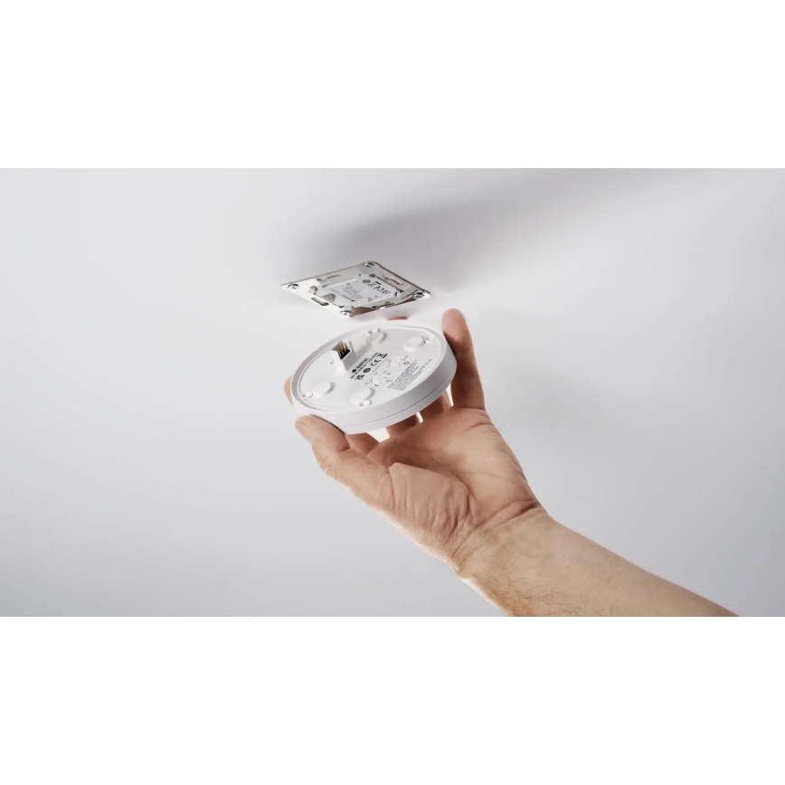 Steinel 088057 - Sensor de movimento com um sensor de presença PD-24 ECO KNX 360° branco