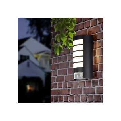 STEINEL 657819 - Iluminação exterior com sensor L12 1xE27/60W/230V IP44
