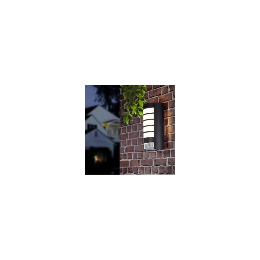 STEINEL 657819 - Iluminação exterior com sensor L12 1xE27/60W/230V IP44