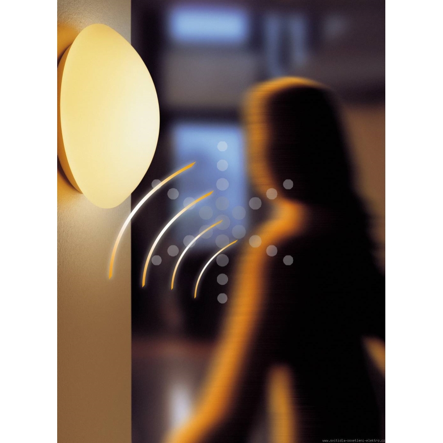 STEINEL 738013-RS 16L - Iluminação de teto exterior com sensor 1xE27/60W/230V IP44