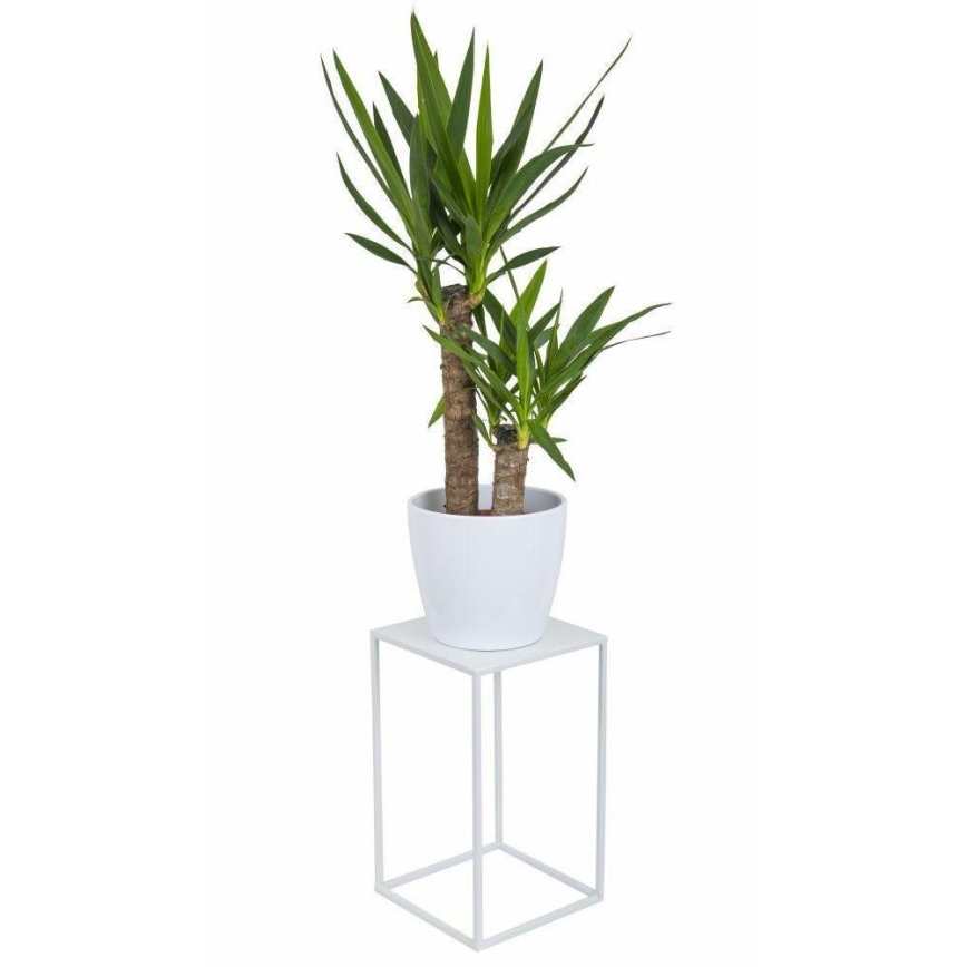 Suporte para flores 40x24 cm branco
