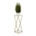 Suporte para flores LOFT 70x24 cm dourado/branco