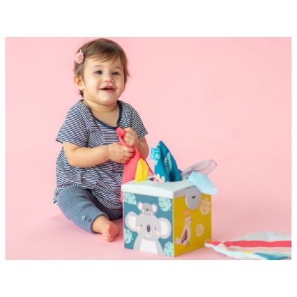 Taf Toys - Caixa com lenços KIMMI coala