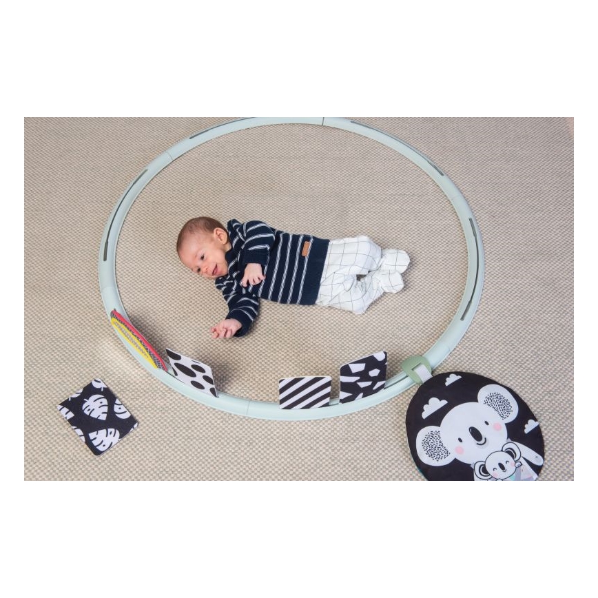 Taf Toys - Arco de Atividade à Minha Volta d. 90 cm coala