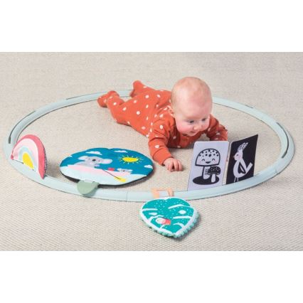 Taf Toys - Arco de Atividade à Minha Volta d. 90 cm coala