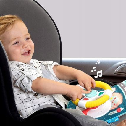 Taf Toys - Brinquedo de roda de carro coala