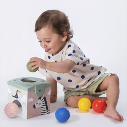 Taf Toys - Caixa de jogo interativa MAGIC BOX