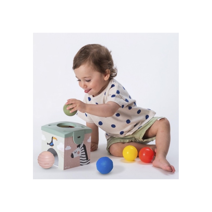 Taf Toys - Caixa de jogo interativa MAGIC BOX