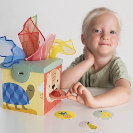 Taf Toys - Caixa de jogo interativa MAGIC BOX