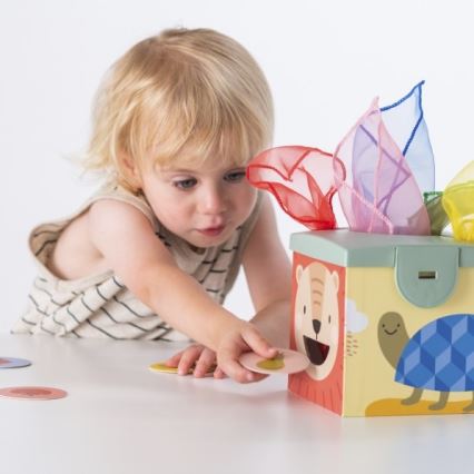 Taf Toys - Caixa de jogo interativa MAGIC BOX