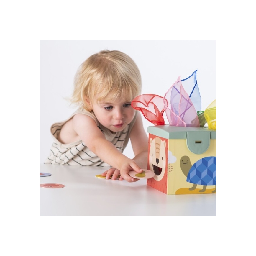 Taf Toys - Caixa de jogo interativa MAGIC BOX