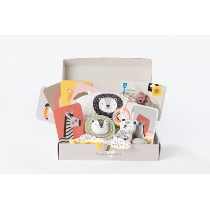 Taf Toys - Caixa de presente HELLO BABY