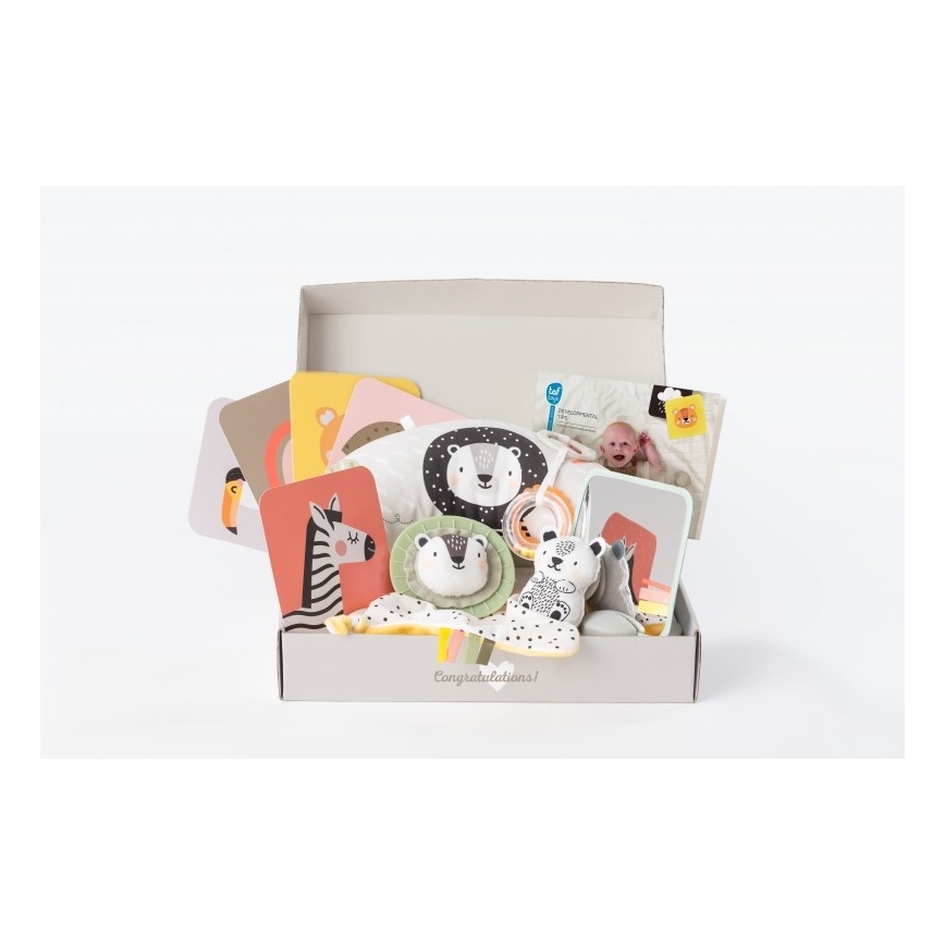 Taf Toys - Caixa de presente HELLO BABY
