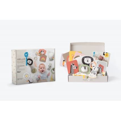 Taf Toys - Caixa de presente HELLO BABY