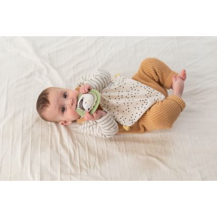 Taf Toys - Caixa de presente HELLO BABY