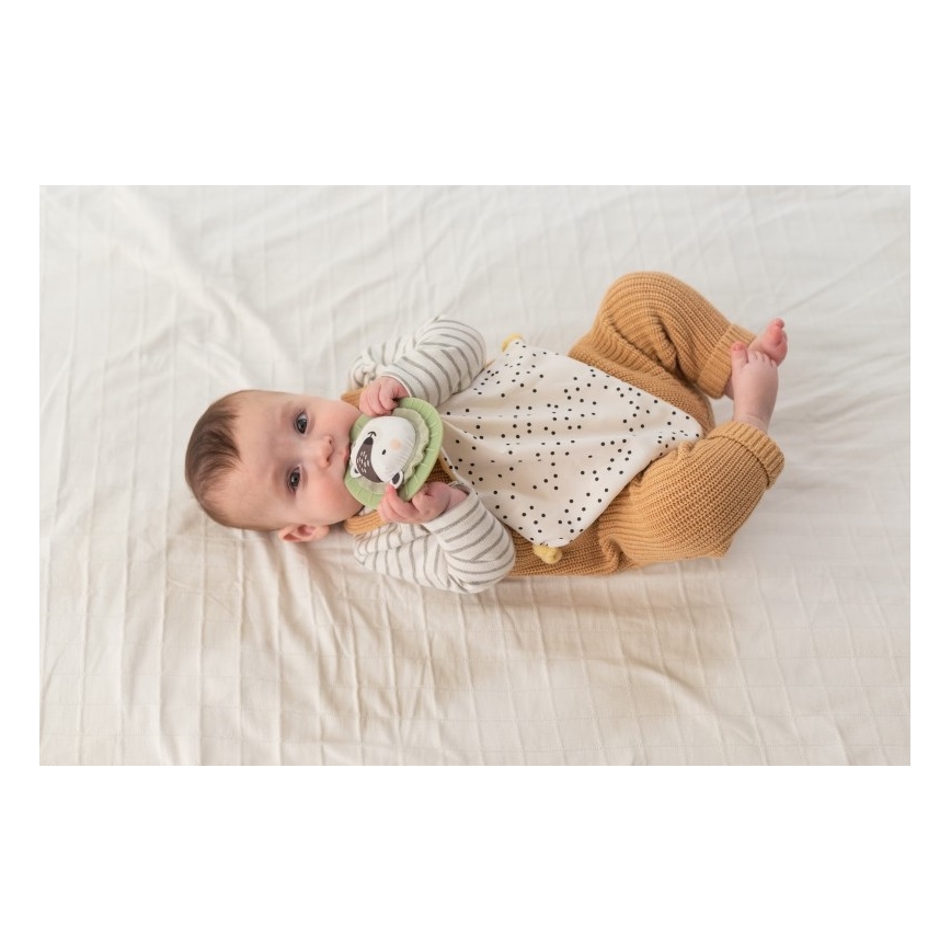 Taf Toys - Caixa de presente HELLO BABY
