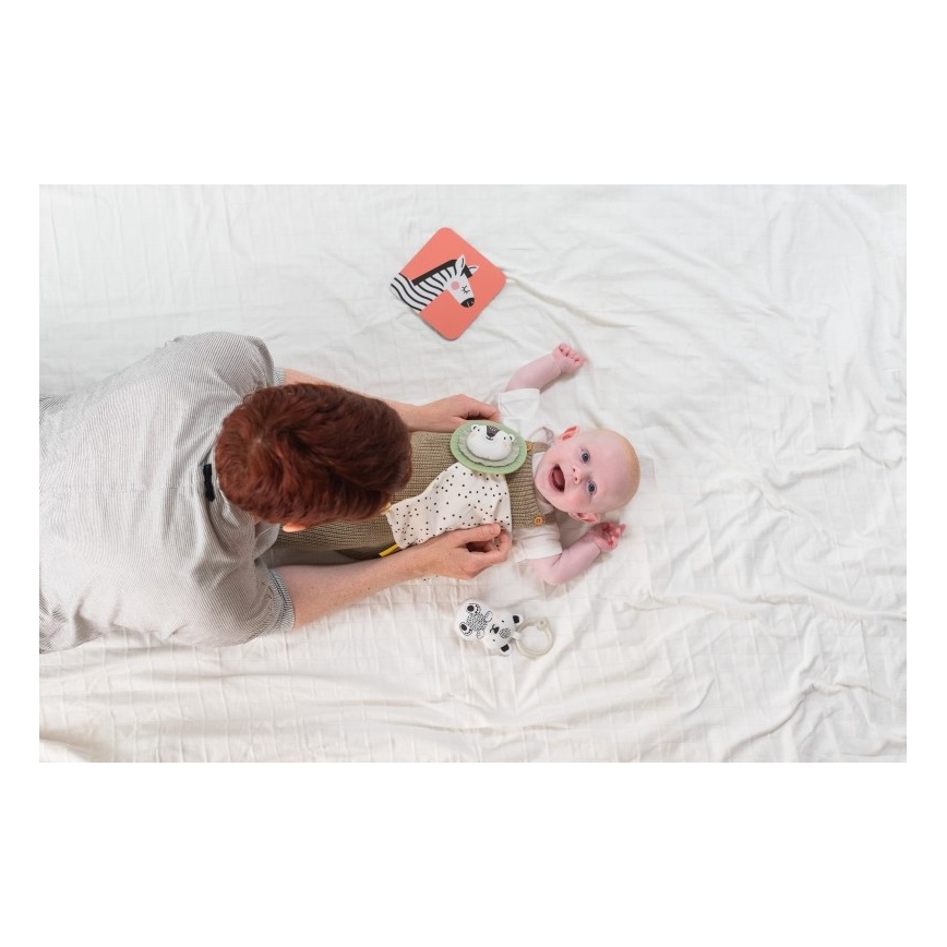 Taf Toys - Caixa de presente HELLO BABY