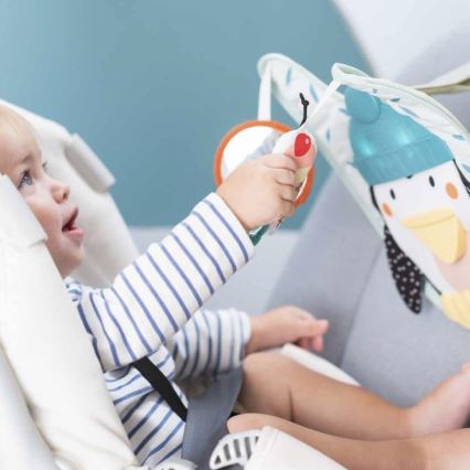 Taf Toys - Carrinho de brincar Play & Kick pinguim